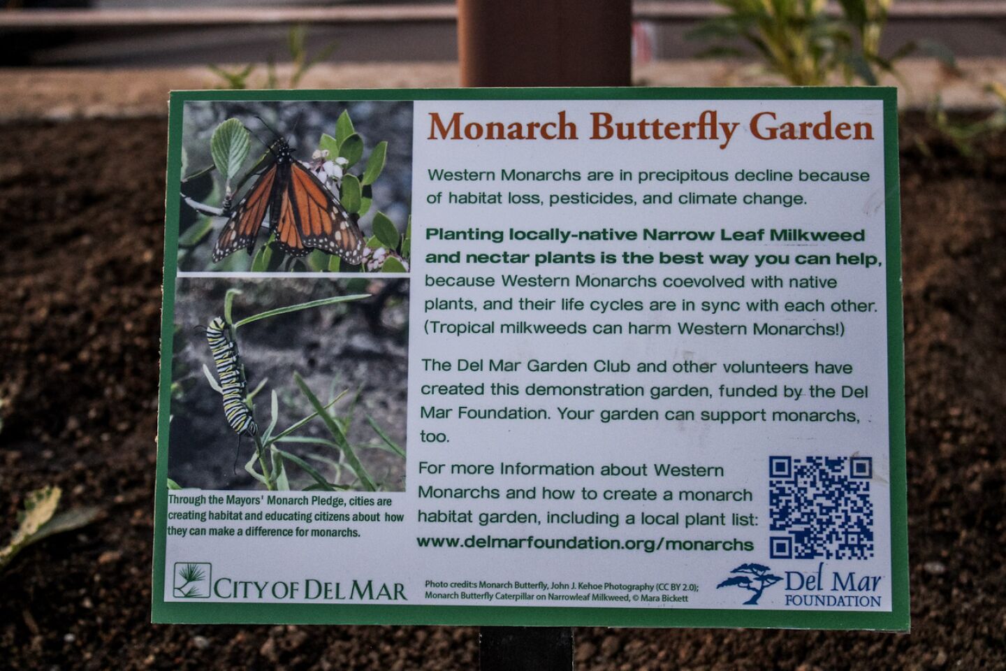 Monarch Butterfly Garden - Sign-03-28-2023.jpg