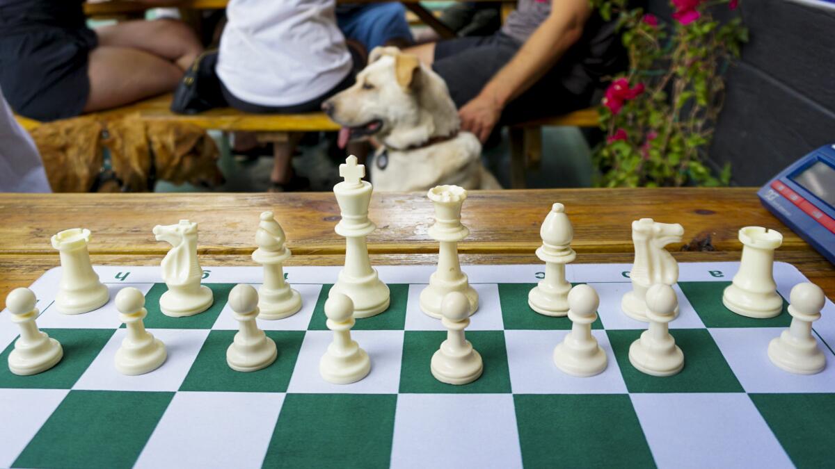 How do you even cheat in chess? Artificial intelligence and Morse code