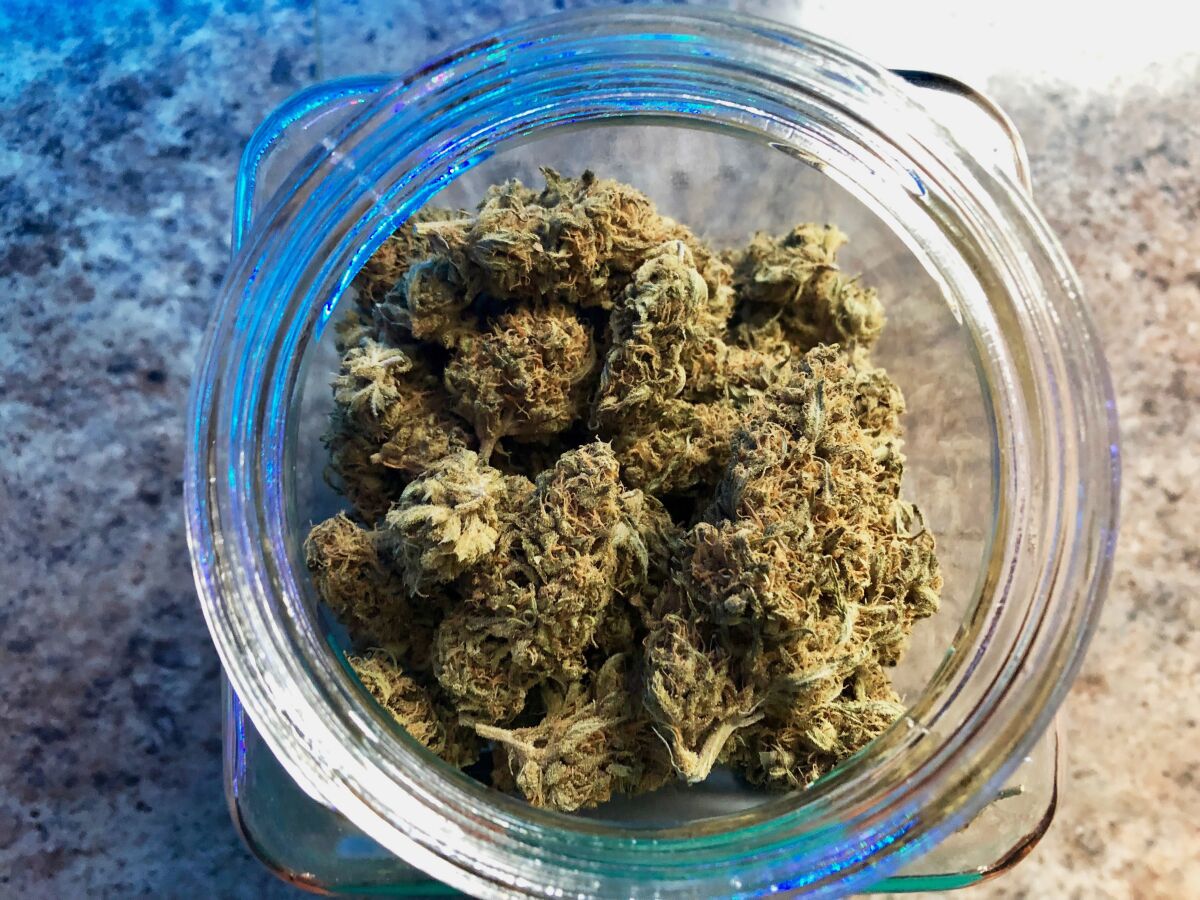 A jar of medical marijuana sits on the counter at a dispensary in Sherwood, Ore.  