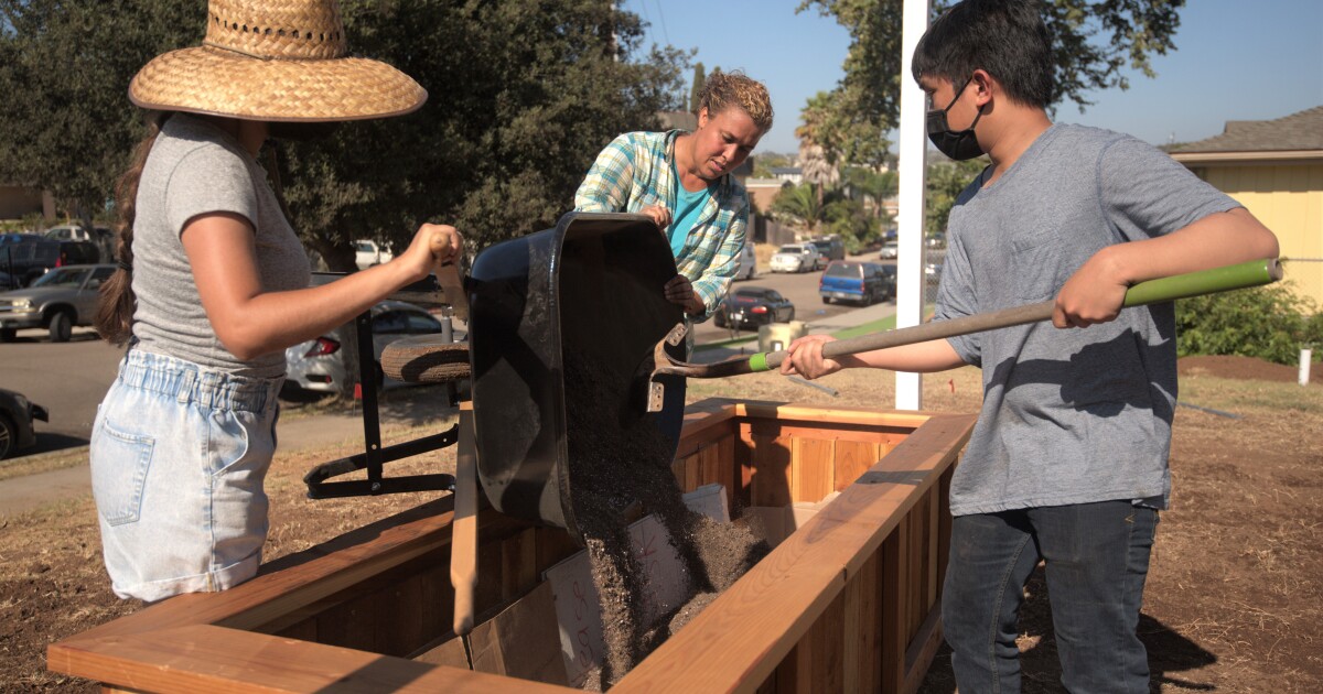 Revitalization of outdoor spaces after the closure of COVID-19 Revitalization of outdoor spaces after the closure of COVID-19