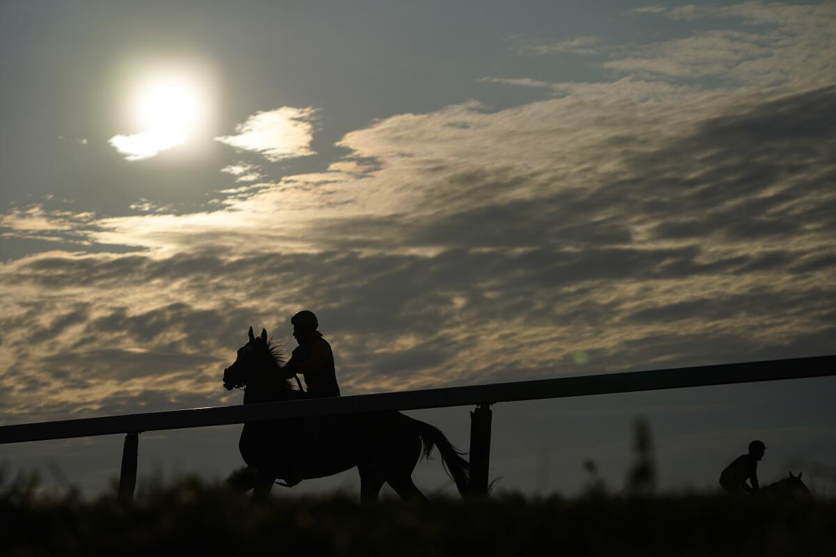 Silhouetted horses and riders in front of a sky with sun and clouds