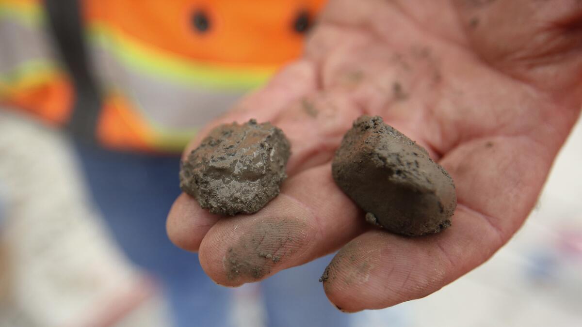 Samples of concrete made from the shipped Canadian materials. The concrete is being used by Webcor Builders on some high-rises going up in downtown Los Angeles (Al Seib / Los Angeles Times).