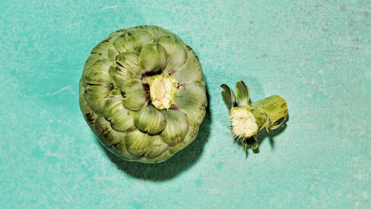 When you snap off the artichoke stem by hand instead of cutting it, the fibers come out too.