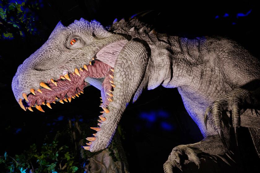 “Jurassic World—The Ride” incluye ahora a un nuevo dinosaurio, el Indominus Rex.