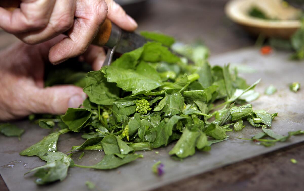 Wild foods such as foraged lambsquarters are featured in a pop-up tasting menu dinner at the Zane Grey Estate on June 7.