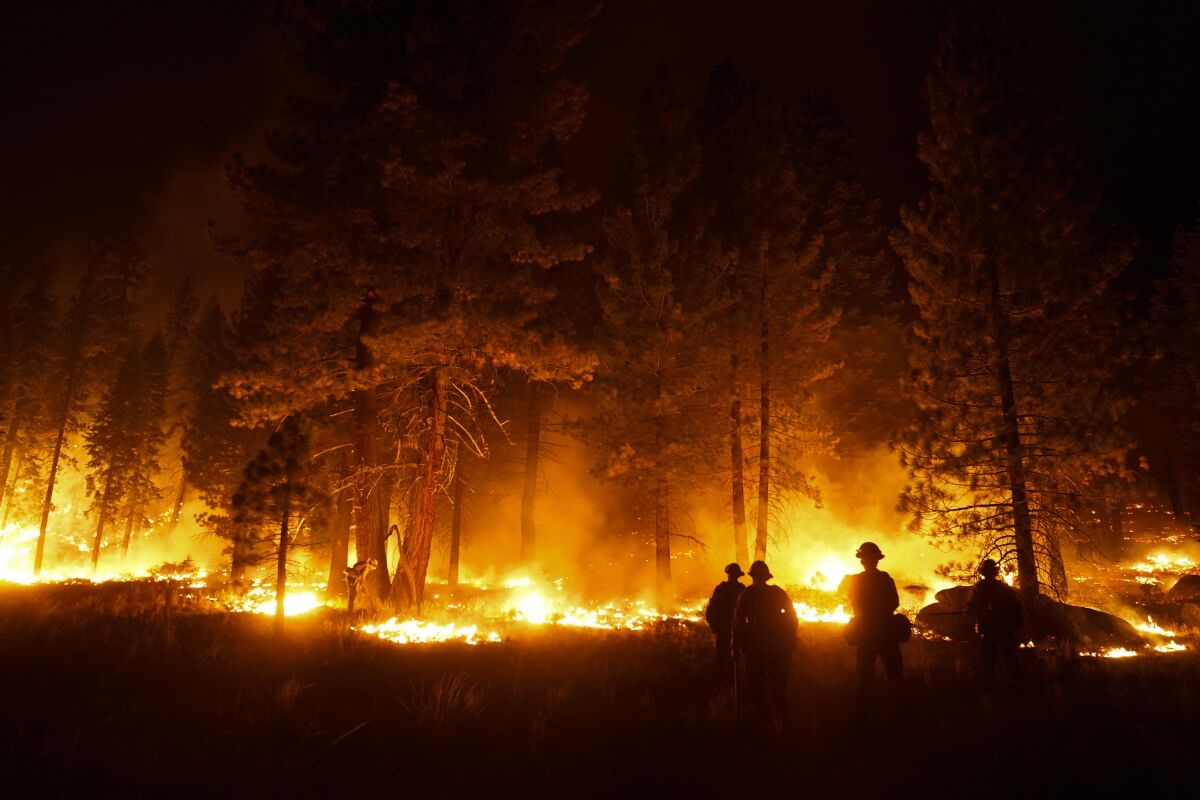 firefighter lights a backfire to stop the Caldor Fire from spreading