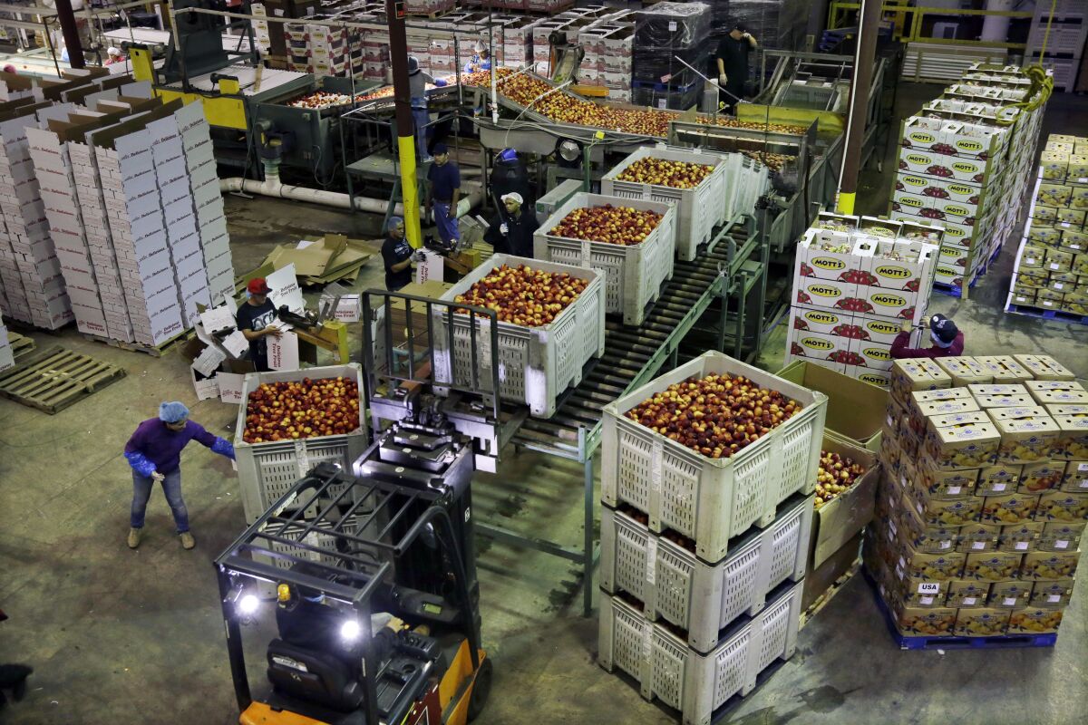 FILE - In this Aug. 27, 2013, file photo, workers load large containers of nectarines for sorting at Eastern ProPak Farmers Cooperative in Glassboro, N.J. U.S. wholesale prices fell 0.6% in February 2020, the biggest decline in five years, led by a sharp drop in energy costs. The Labor Department said the decline in its producer price index, which measures price pressures before they reach the consumer, followed a 0.5% rise in January. It was the sharpest decline since a similar 0.6% drop in January 2015. (AP Photo/Mel Evans, File)