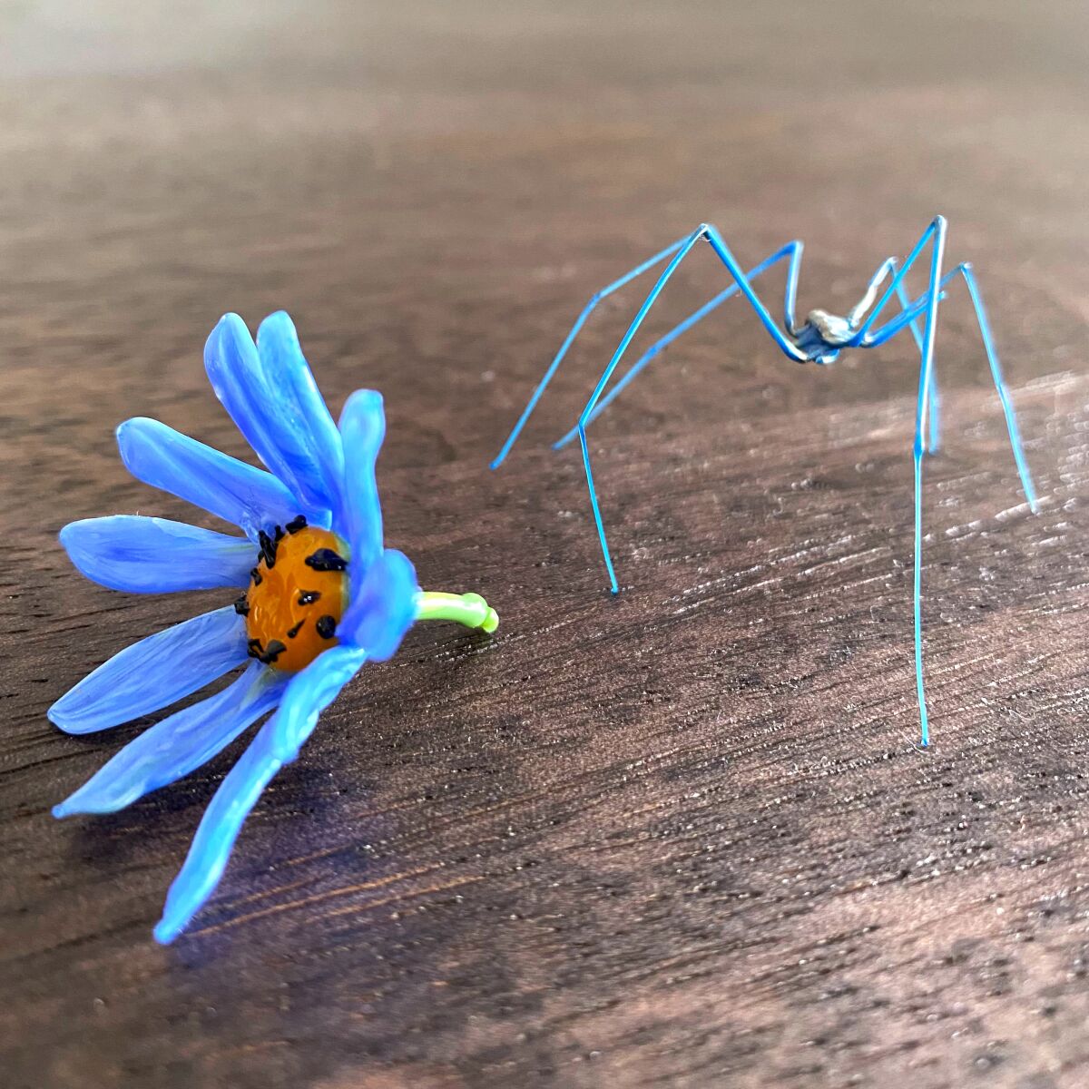 Flower and spider, Venetian glass wonders, bought in 2019.