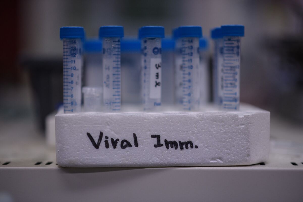 Vials at the International Vaccine Institute in Seoul.