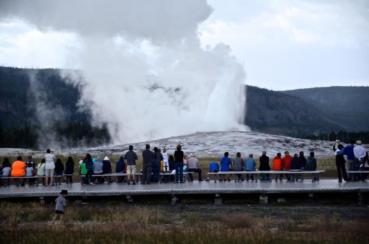 You can watch the Old Faithful geyser go off about every 90 minutes on Yellowstone National Park's webcam. 