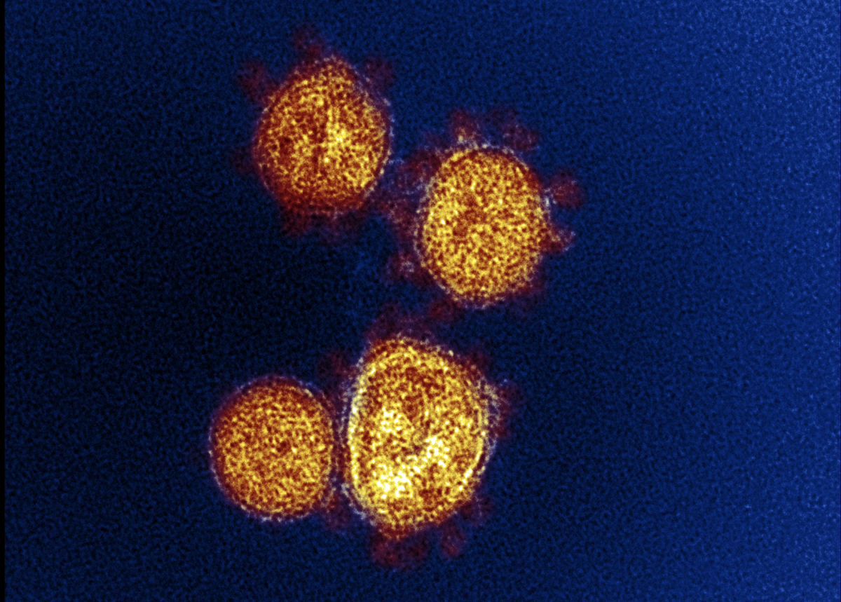 Coronavirus