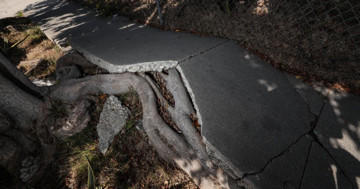 Letters to the Editor: L.A.’s broken sidewalks hurt people in wheelchairs the most Letters to the Editor: L.A.’s broken sidewalks hurt people in wheelchairs the most