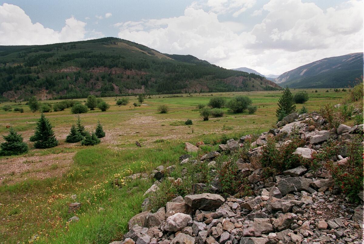 A view of a mountain meadow with a few trees and shrubs and low mountains in the background.