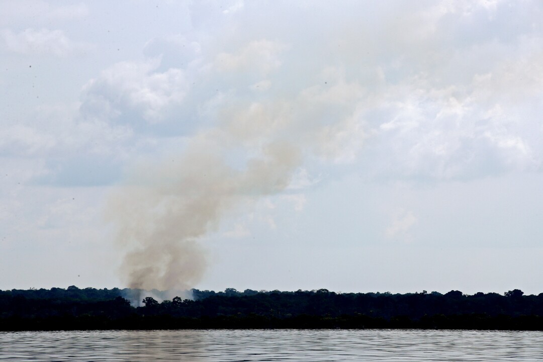 A plume of smoke rises from a fire in the jungle
