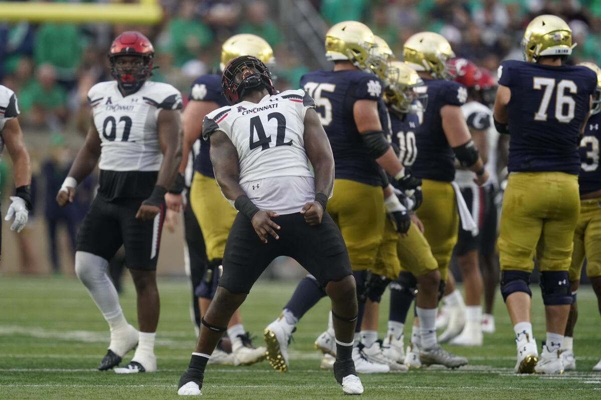 Cincinnati's Malik Vann (42) reacts after sacking Notre Dame quarterback Drew Pyne on Oct. 2, 2021.