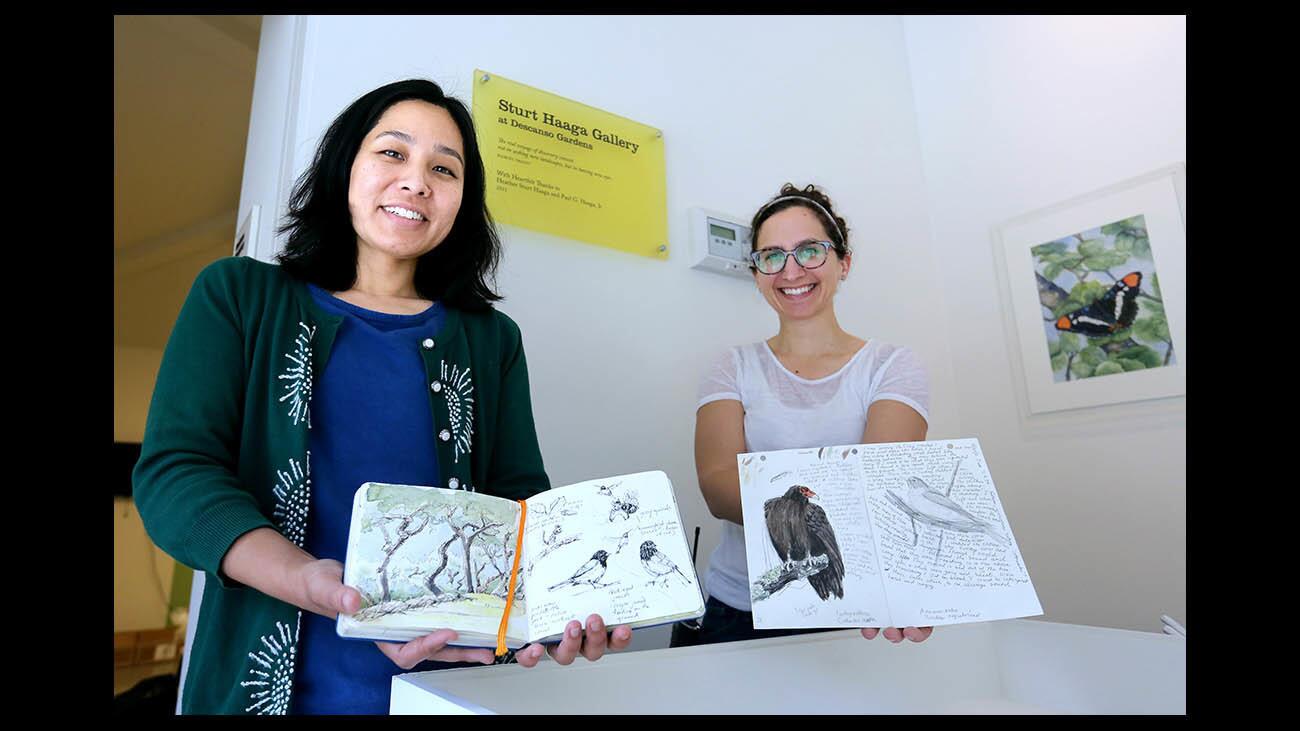 Descanso Gardens exhibit curator Emi Yoshimura, left, and education program manager Nadia Hagan, right, show some of the field notes that will be displayed in a new exhibit at the Sturt Haaga Gallery, at Descanso Gardens in La Canada Flintridge on Tuesday, May 15, 2018. The Growing Habitat, LA's Wildlife & Descanso exhibit opens to the public on Sunday.