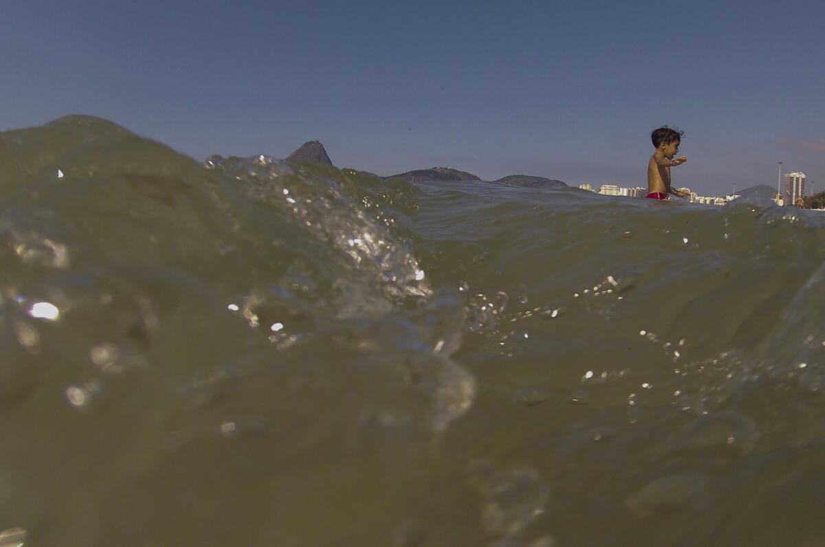 A boy wades in the beach waters of Flamengo, in Rio de Janeiro, Brazil. The Rio Olympic organizing committee's website states that a key legacy of the games will be 'the rehabilitation and protection of the area's environment, particularly its bays and canals" in areas where water sports will take place.