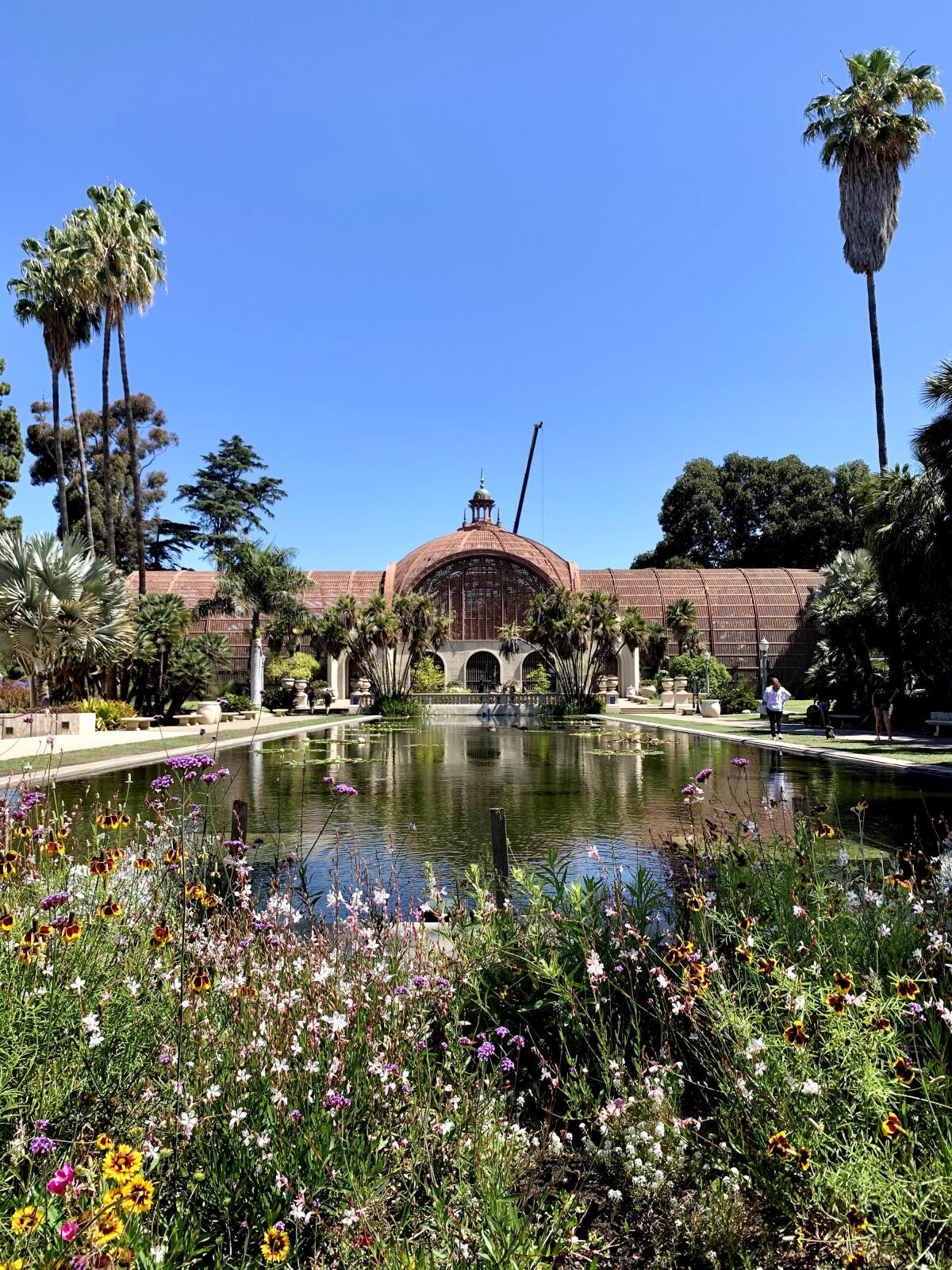 The iconic Botanical Building and Lily Pond is one of the most-photographed places in San Diego, for good reason. 