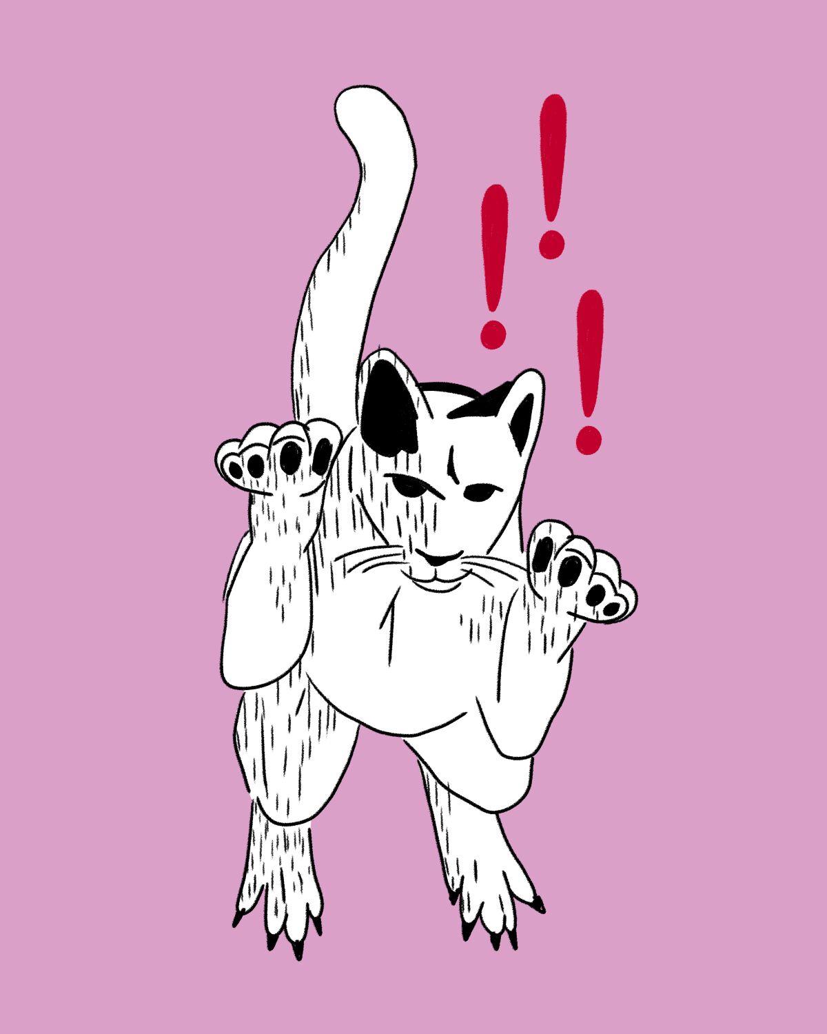 Illustration of a pouncing cat.