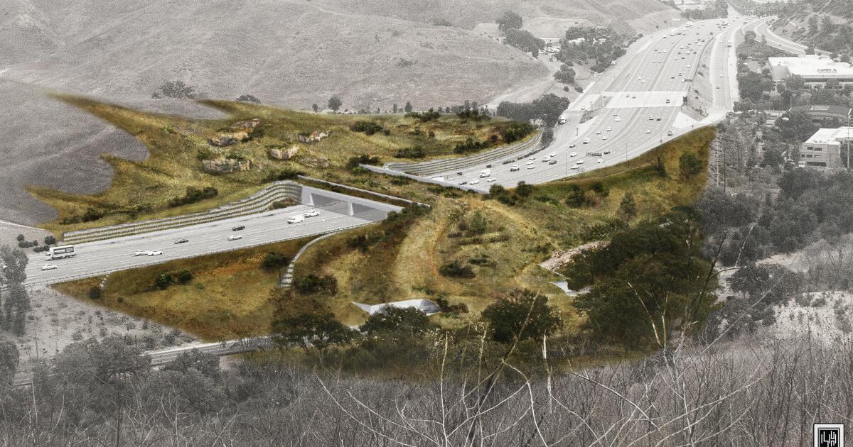 New video shows world's largest wildlife crossing starting to take fo...