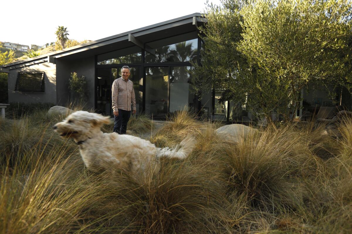 Mikke Pierson, Malibu's mayor pro tem, stands in the back yard of his home as his dog, Jack, darts through his meadow of deer grass and other fire-retardant shrubs, which he thinks helped keep the fire from his Malibu home.