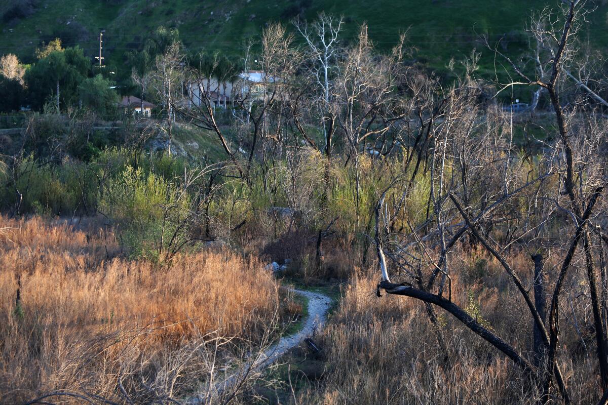 The ponds at the wildlife sanctuary near Sunland-Tujunga coexist on the urban edge.