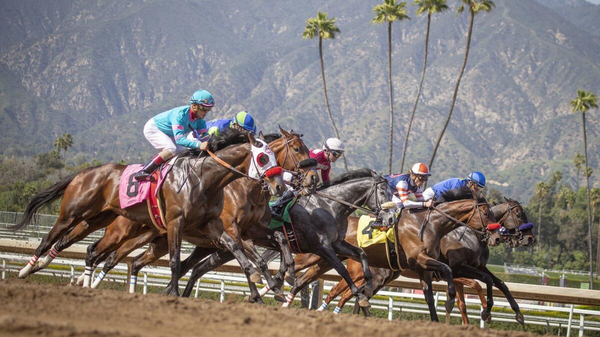 Horses race during Santa Anita Race 6 at Santa Anita Horse Park in Arcadia, Calif. on March 29.