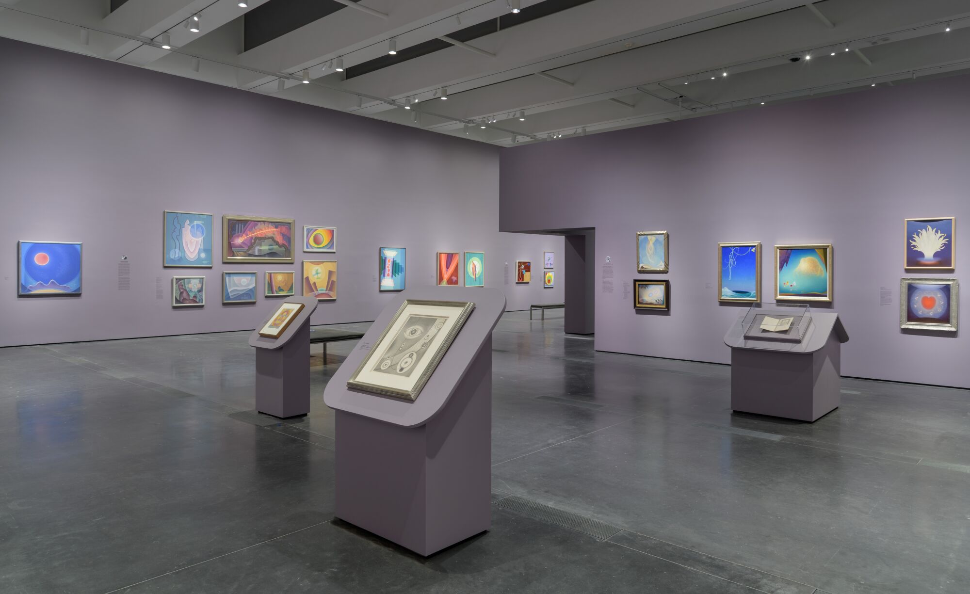 paintings in a gallery with gray walls 