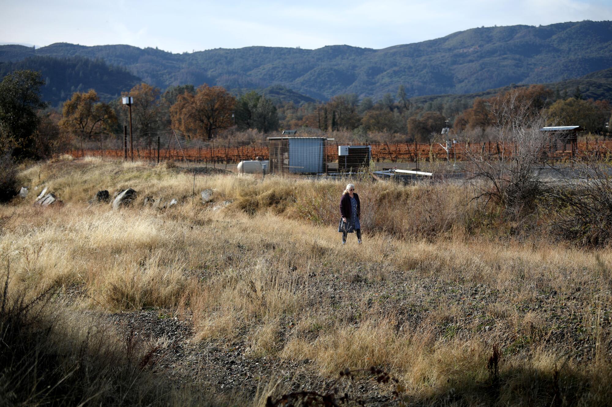 A woman walks through grassland as mountains rise in the background.