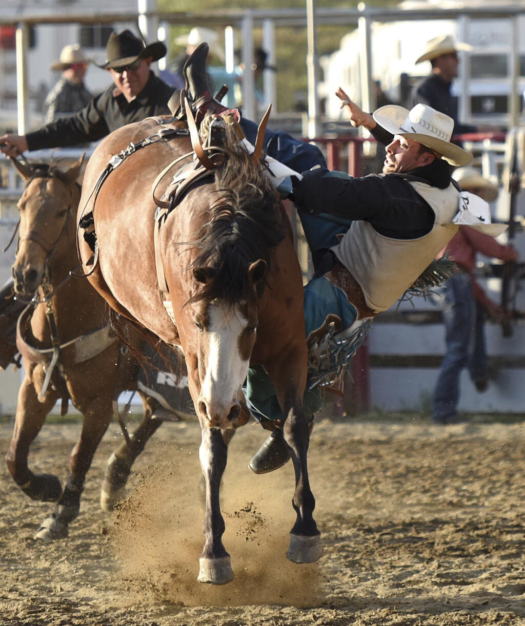 Justin Rucker Rodeo California California rodeo animals face violent and deadly casualties - Los ...