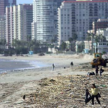 TRASH OR TREASURE: A woman searches for recyclables amid the debris on the Long Beach shore.