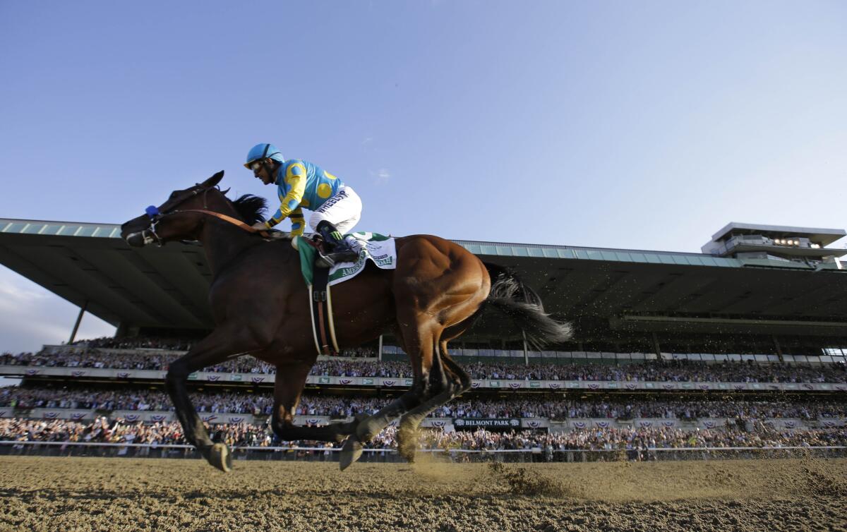 American Pharoah gallops past the Belmont Park grandstand with Victor Espinoza riding.