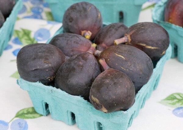 Figs