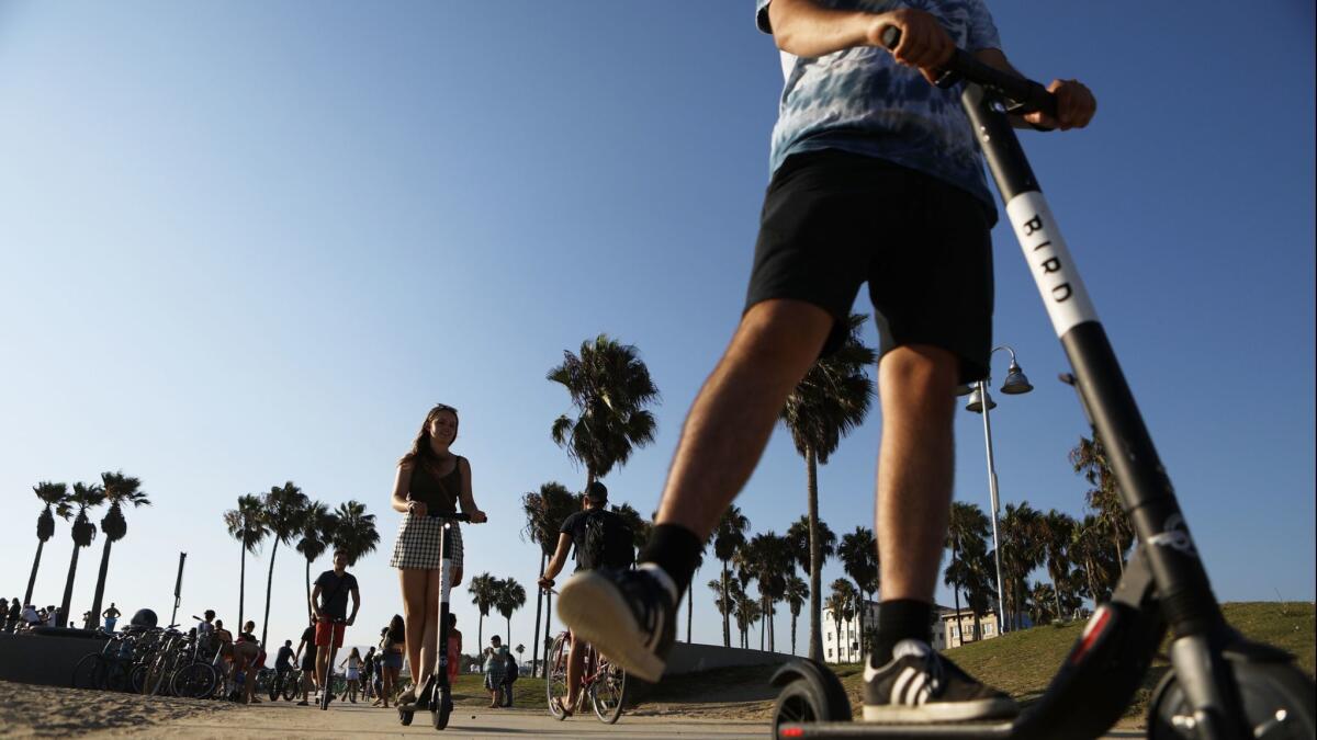 Electric scooters have yet to officially debut in Glendale, but that may change come springtime when the City Council will consider a possible pilot program to allow them in the city.