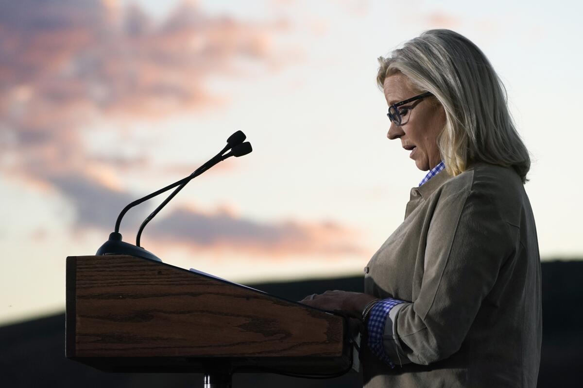 A side view of a woman with shoulder-length blond hair and glasses, standing at a lectern with microphones 