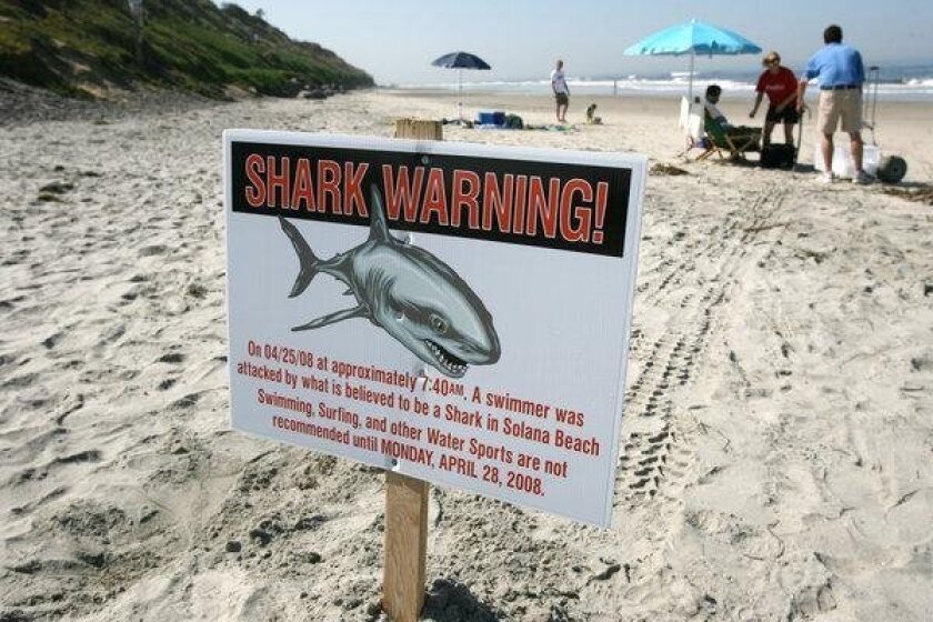 Solana Beach Shark Attack Rattles Beachgoers The San Diego Union Tribune