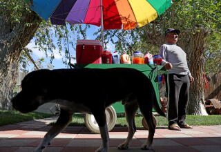A street vendor standing in the sun by a cart of food under a multicolored patio umbrella, a dog walking in the foreground