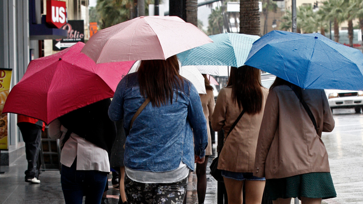 Umbrella-toting pedestrians stroll the Hollywood Walk of Fame on Hollywood Boulevard.