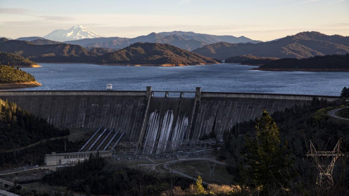 A proposal to heighten the Shasta Dam in Northern California could face a new hurdle from a population of salamanders that call the area home.