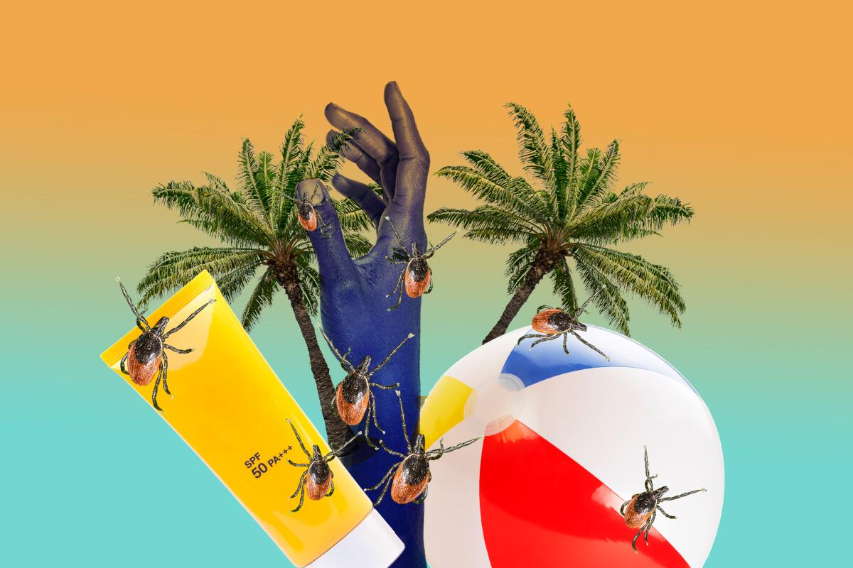 Photo illustration of ticks on a beach ball and a bottle of sunscreen, with palm trees.