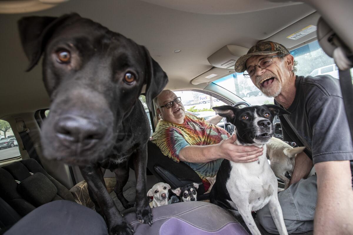 Frank Martinez, left, and Rick Wolfe sit in Martinez's van with their dogs in the Bear fire's aftermath in Oroville, Calif.
