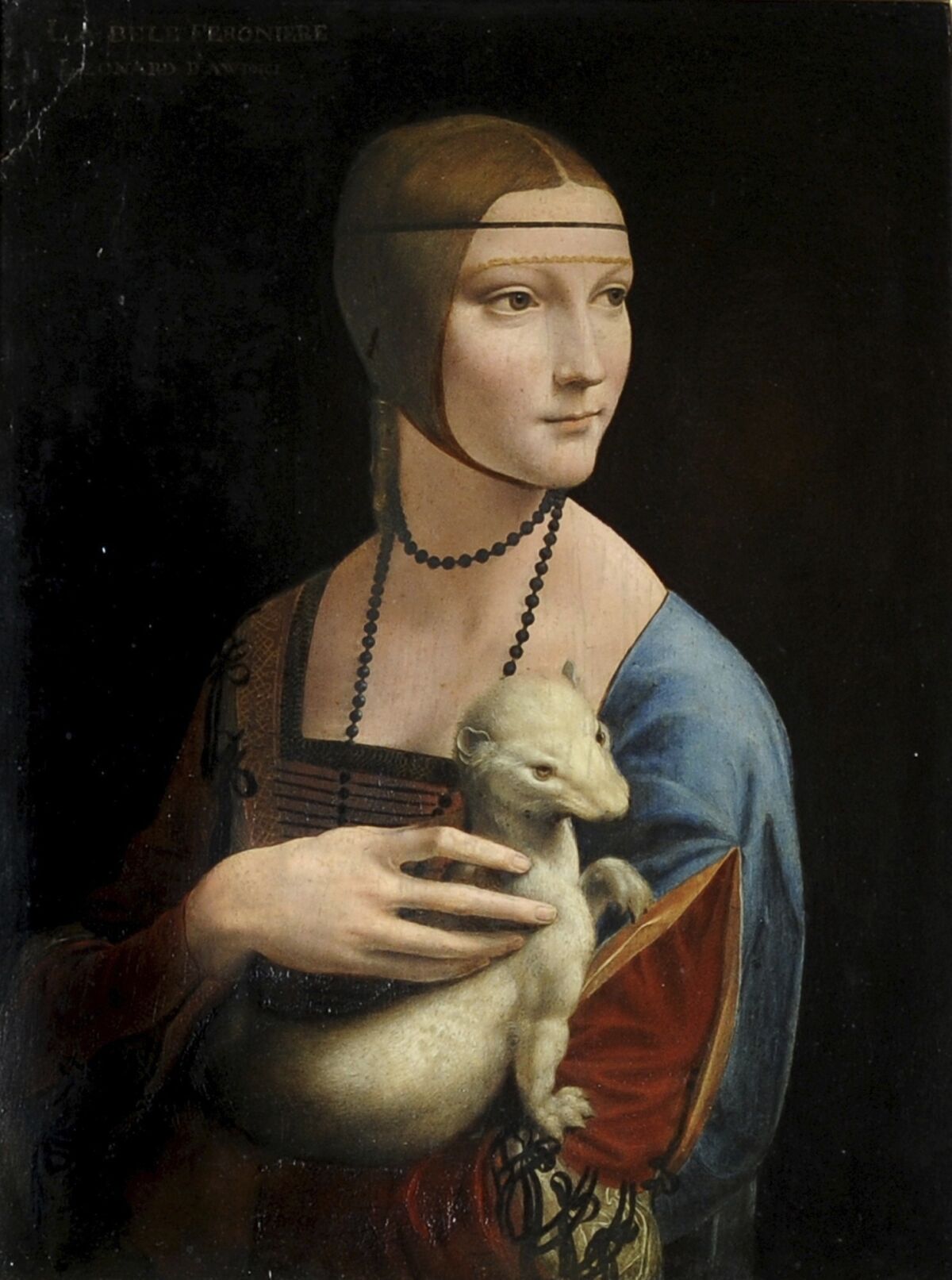 A scientist has revealed a new discovery about the Leonardo da Vinci painting "Lady With an Ermine."