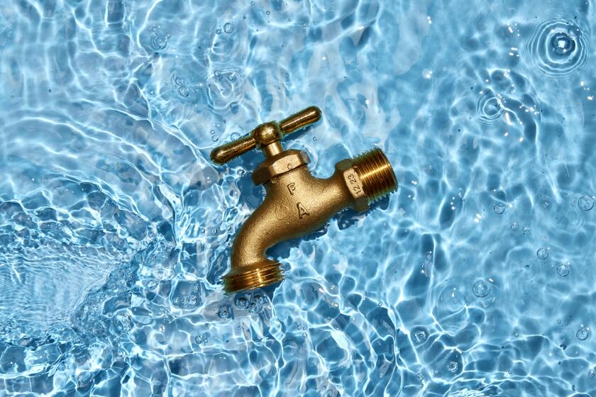 Photo of a brass hose water faucet sitting in shallow moving water.