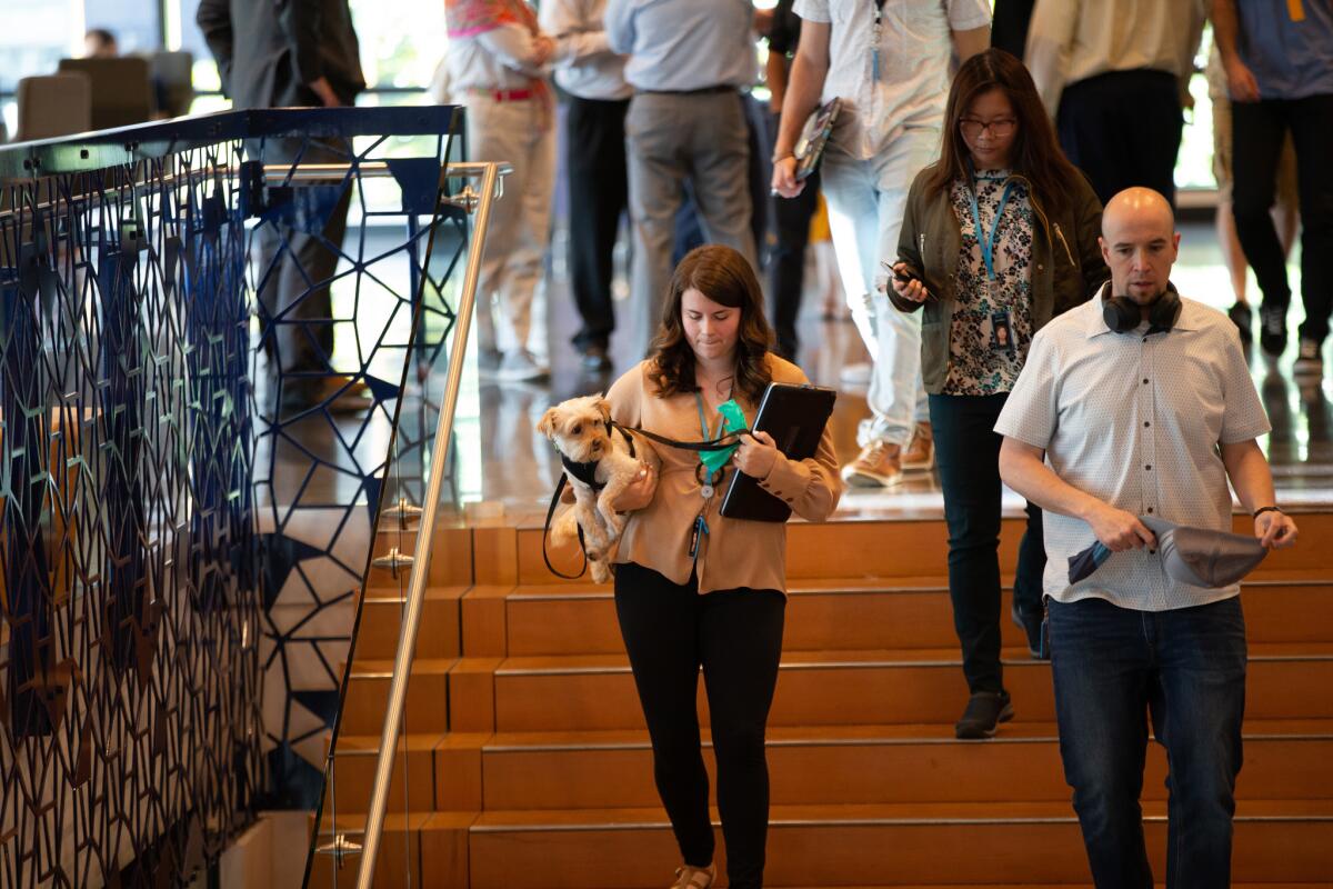 Employees and their dogs head out to lunch in the Day 1 building at Amazon in Seattle.