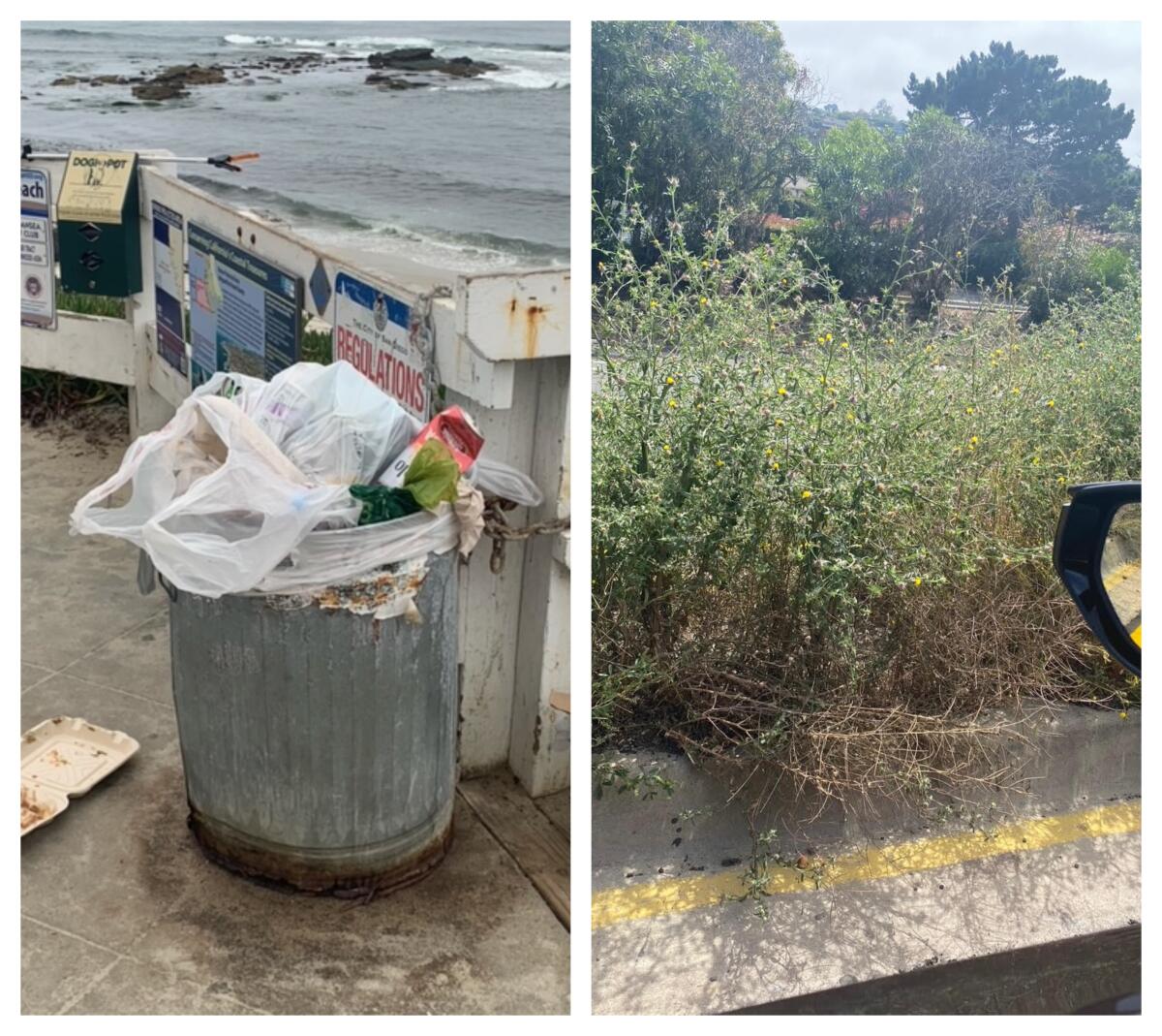 Left: An overstuffed, rusting garbage can at Windansea. Right: A hedge of weeds in the median on La Jolla Parkway.