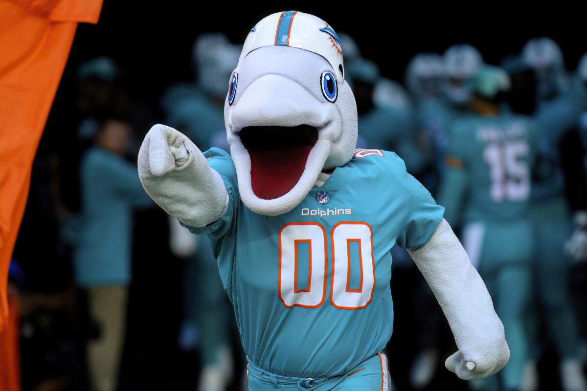 Miami Dolphins mascot T.D. gestures as he runs onto the field 