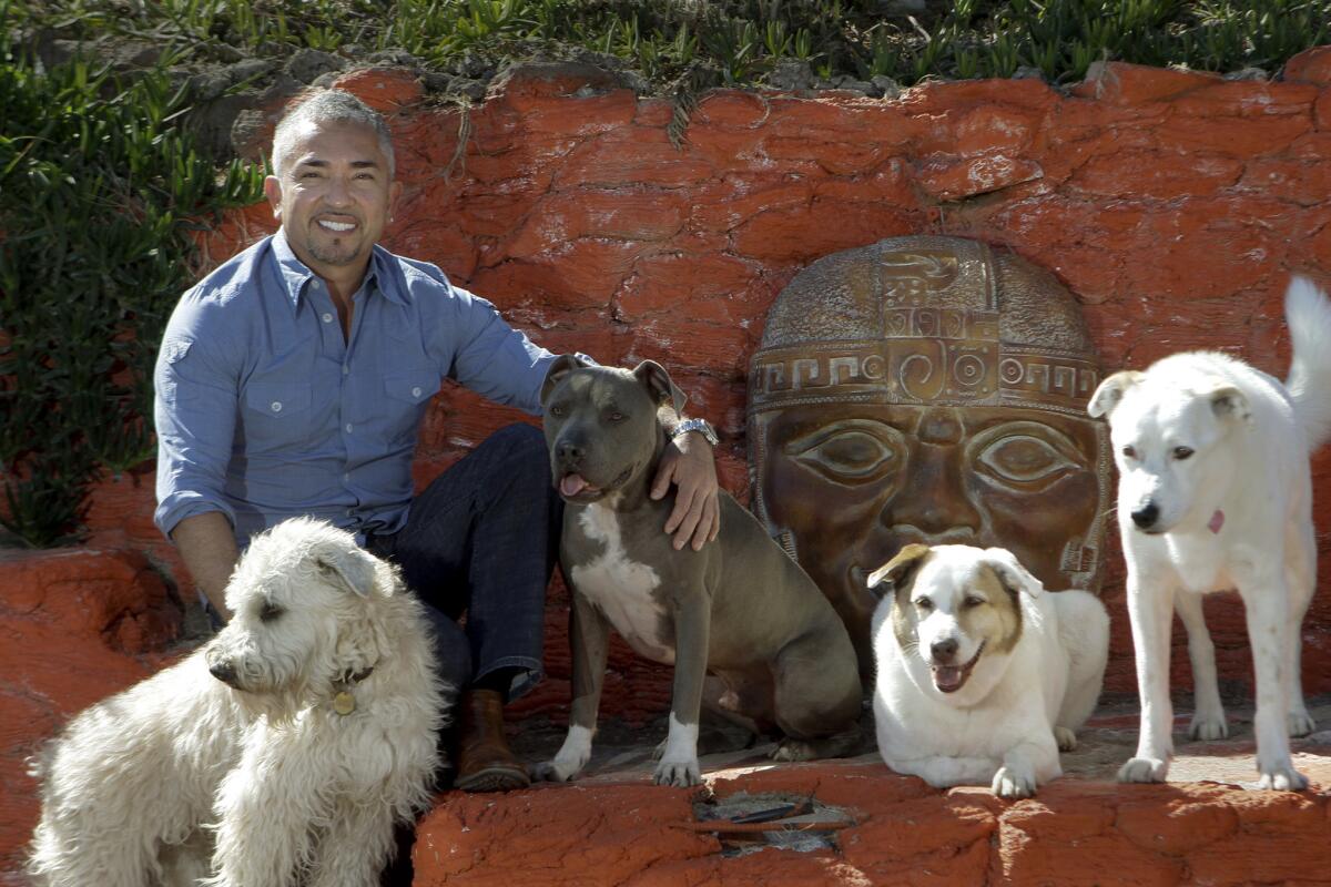 Cesar Millan with some of his canine pals at his Dog Pyschology Center in Santa Clarita.