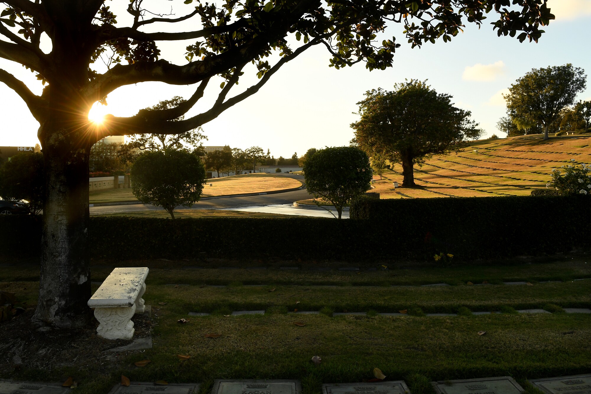 The sun's rays are seen through a crook in a tree branch above a stone bench at a cemetery.