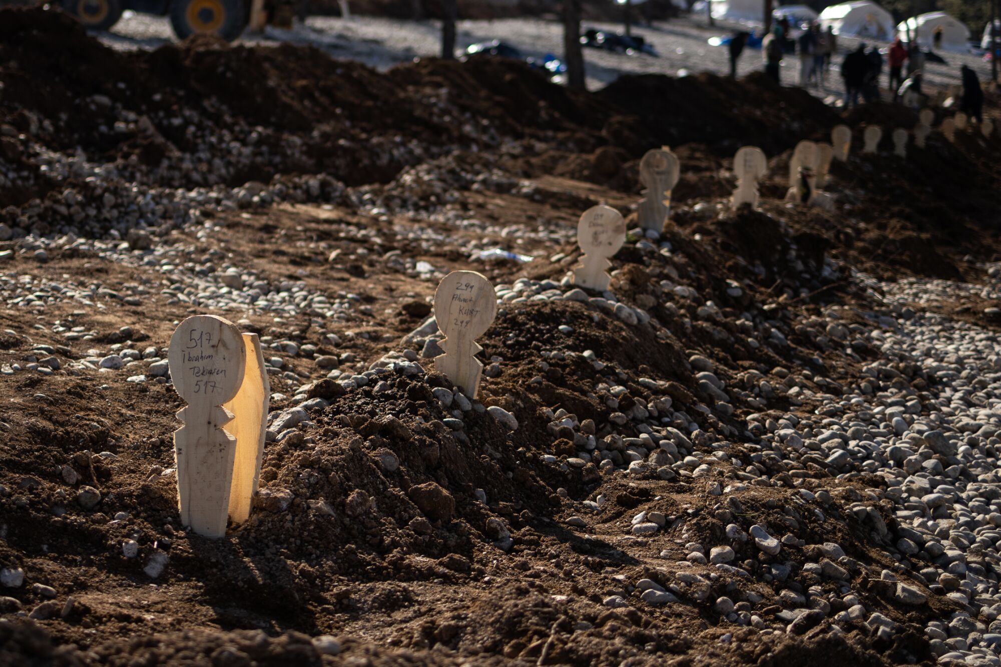 Wood markers with names and numbers placed in a row in freshly turned dirt