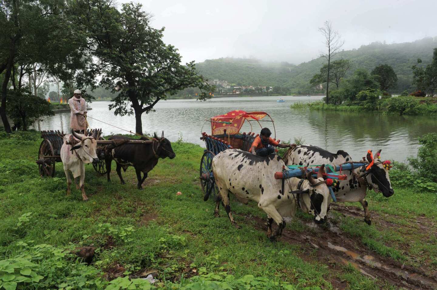 Western Ghats, India